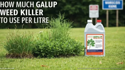 How Much Gallup Weed Killer to Use per Litre: The Ultimate Guide for a Weed-Free Garden